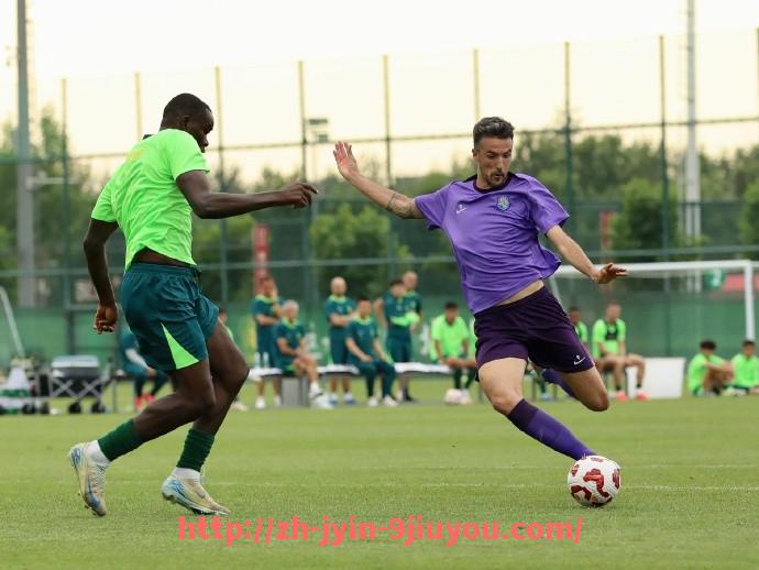 jiuyou九游娱乐-意甲足球队的独特外号及其来源揭秘