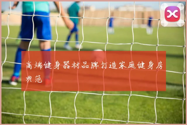 高端健身器材品牌打造家庭健身房典范